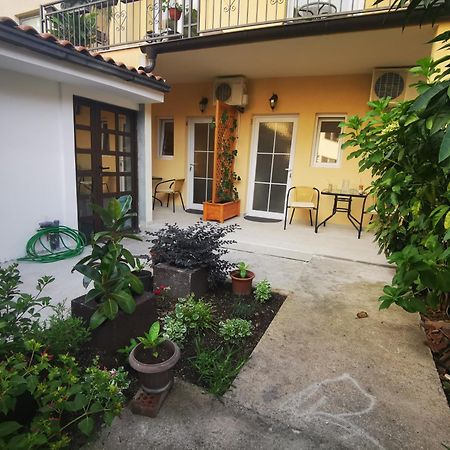 Radovic Apartments Budva Rom bilde