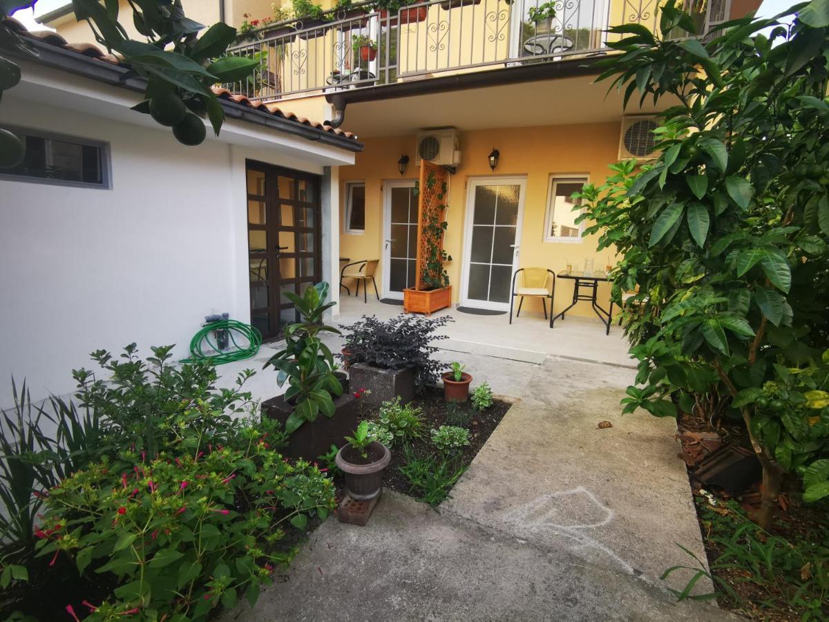Radovic Apartments Budva Eksteriør bilde