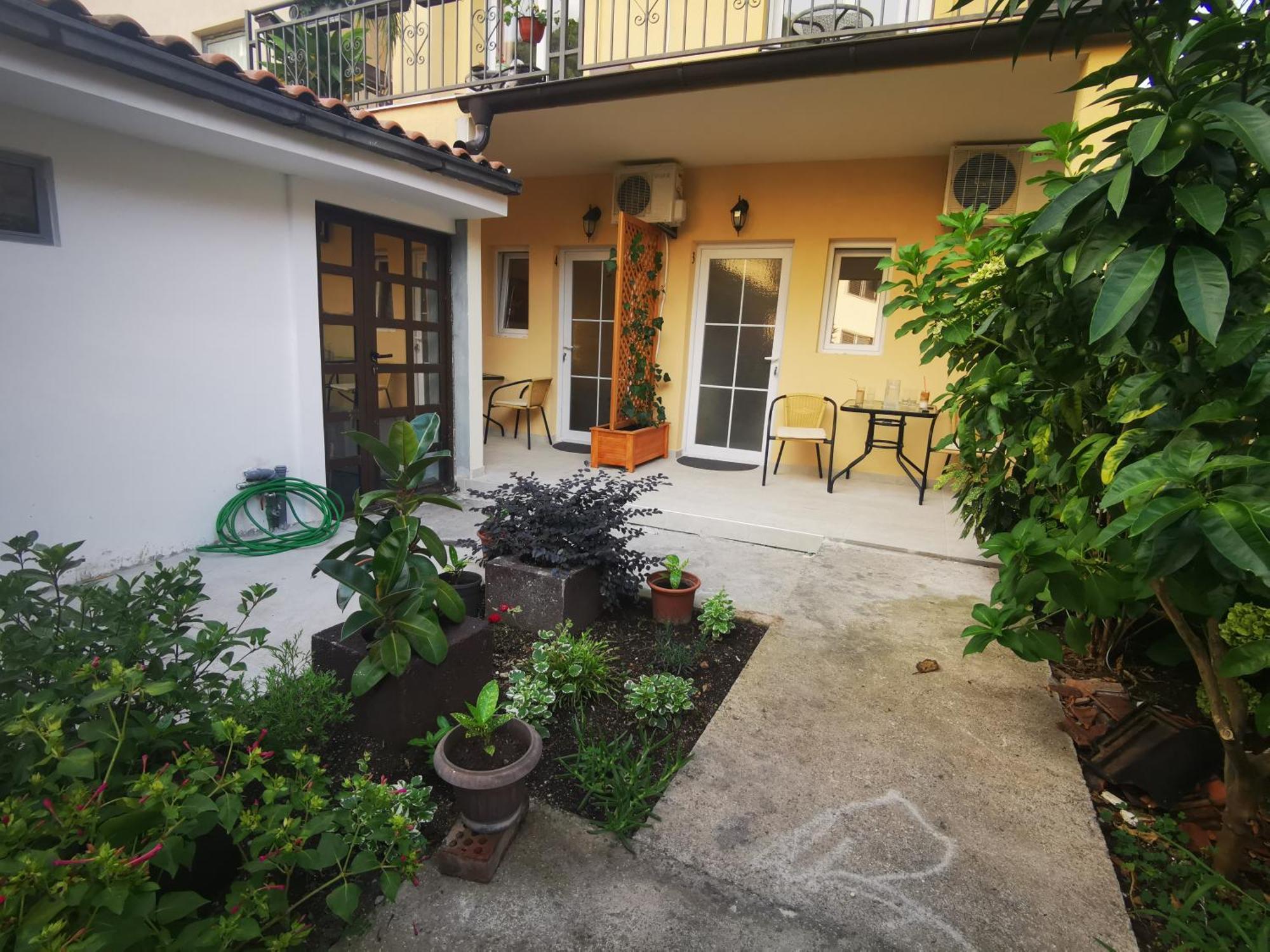 Radovic Apartments Budva Rom bilde